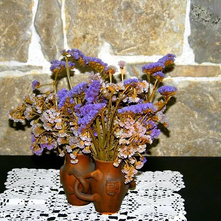 And Emily Casa de hóspedes 3*